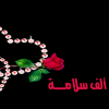 نقرتين لعرض الصورة في صفحة مستقلة
