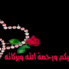 رسائل غرام روشه 2014, اجمل