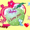 رسائل غرام روشه 2014, اجمل