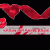 جديد سيارات متنوعة 2014 اجمل