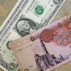 نقرتين لعرض الصورة في صفحة مستقلة