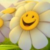 نقره لعرض الصورة في صفحة مستقلة