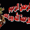 نقرتين لعرض الصورة في صفحة مستقلة