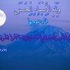 نقرتين لعرض الصورة في صفحة مستقلة