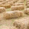 نقرتين لعرض الصورة في صفحة مستقلة
