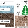 نقرتين لعرض الصورة في صفحة مستقلة