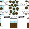 نقرتين لعرض الصورة في صفحة مستقلة