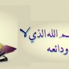 نقرتين لعرض الصورة في صفحة مستقلة