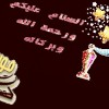 تعتزم نظام التصوير ثنائي الكاميرا