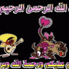 نقرتين لعرض الصورة في صفحة مستقلة