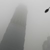 نقرتين لعرض الصورة في صفحة مستقلة