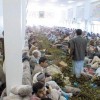 نقرتين لعرض الصورة في صفحة مستقلة