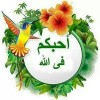 نقرتين لعرض الصورة في صفحة مستقلة