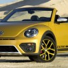 Beetle Dune   2016