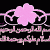 نقرتين لعرض الصورة في صفحة مستقلة