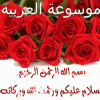 نقرتين لعرض الصورة في صفحة مستقلة