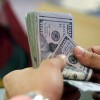 نقرتين لعرض الصورة في صفحة مستقلة