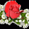 http://www.arabsharing.com/uploads/1483388245171.gif