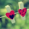 http://www.arabsharing.com/uploads/149627946354.jpg