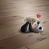 http://www.arabsharing.com/uploads/1496279464177.jpg