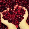 http://www.arabsharing.com/uploads/1496559907037.jpg