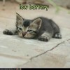 http://www.arabsharing.com/uploads/1496562666194.jpg
