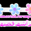 فضيهه فضيهه