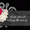 نقرتين لعرض الصورة في صفحة مستقلة