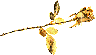 🌿�������� ������������ ������ ������� �������� do.php?img=232790
