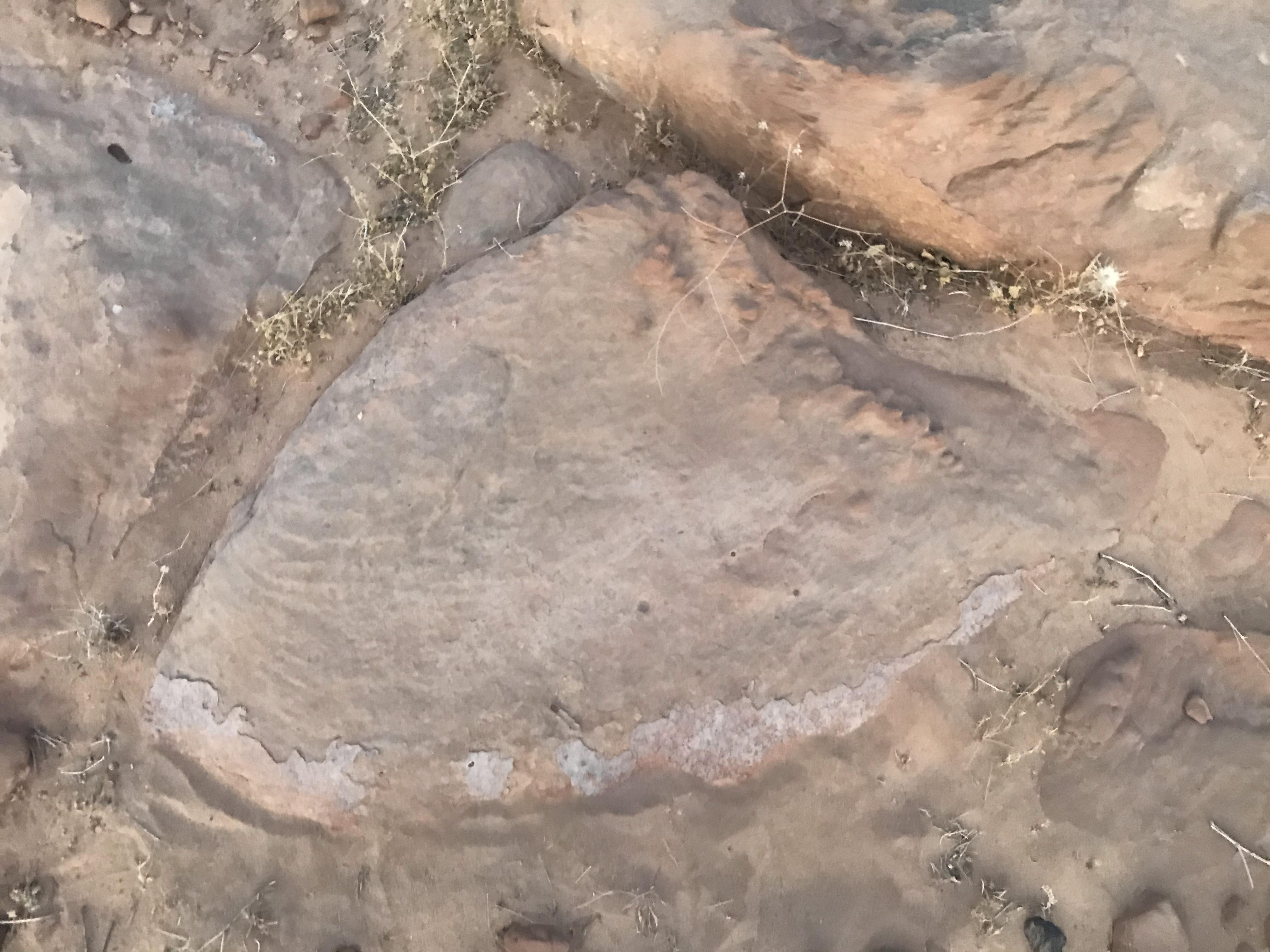 ÙØ³ØªØ·ÙÙ .. - ÙÙØªØ¯Ù ÙÙÙØ² ÙØ¯ÙØ§Ø¦Ù Ø§ÙÙØ·Ù