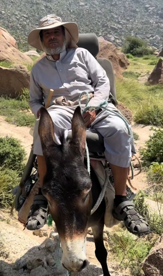 نقره لتكبير أو تصغير الصورة ونقرتين لعرض الصورة في صفحة مستقلة بحجمها الطبيعي