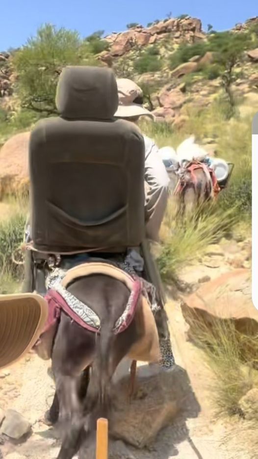 نقره لتكبير أو تصغير الصورة ونقرتين لعرض الصورة في صفحة مستقلة بحجمها الطبيعي