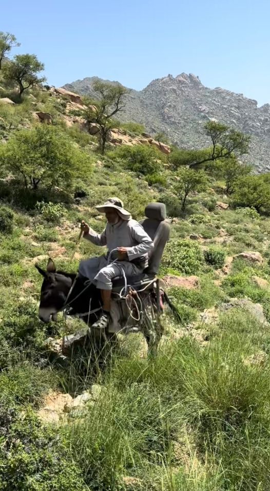 نقره لتكبير أو تصغير الصورة ونقرتين لعرض الصورة في صفحة مستقلة بحجمها الطبيعي