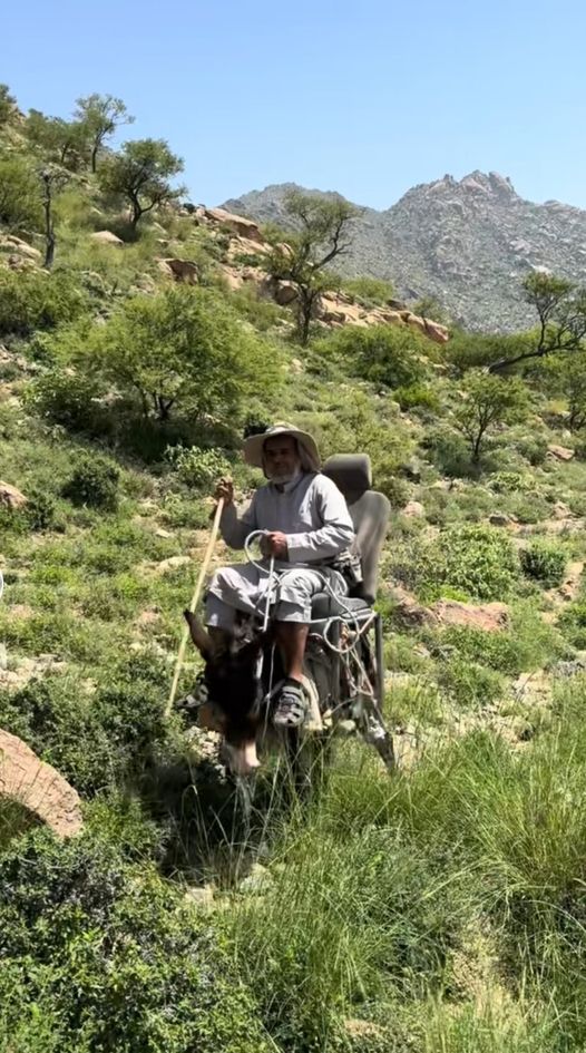 نقره لتكبير أو تصغير الصورة ونقرتين لعرض الصورة في صفحة مستقلة بحجمها الطبيعي