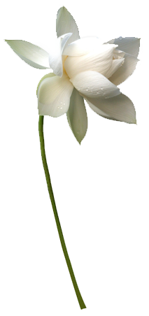 ������ ���� ������ �� ���� ������