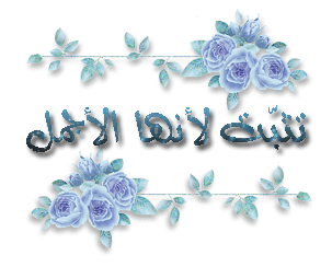 ������ ���� ������ �� ���� ������