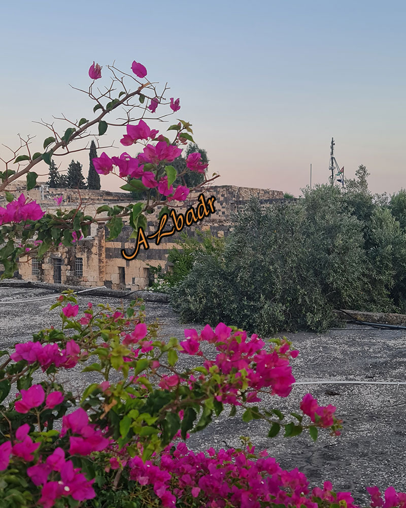 (����) do.php?img=358022