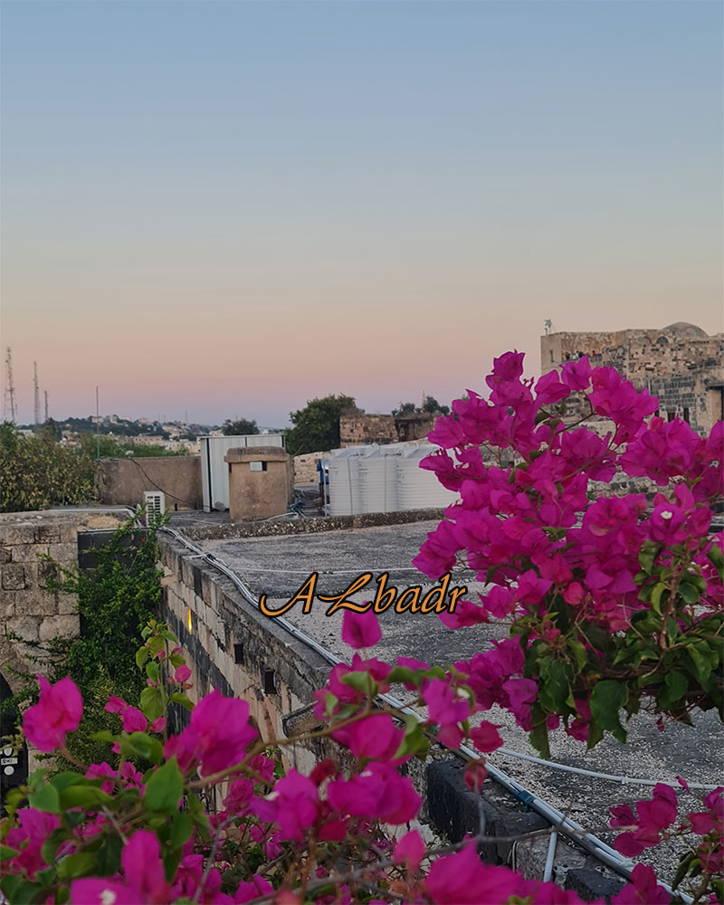 (����) do.php?img=358024