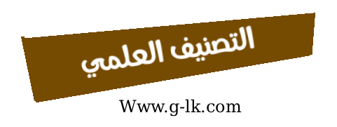 ���� ������
