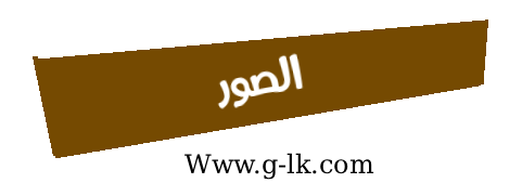���� ������
