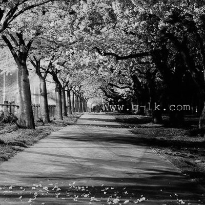 ������ B&w