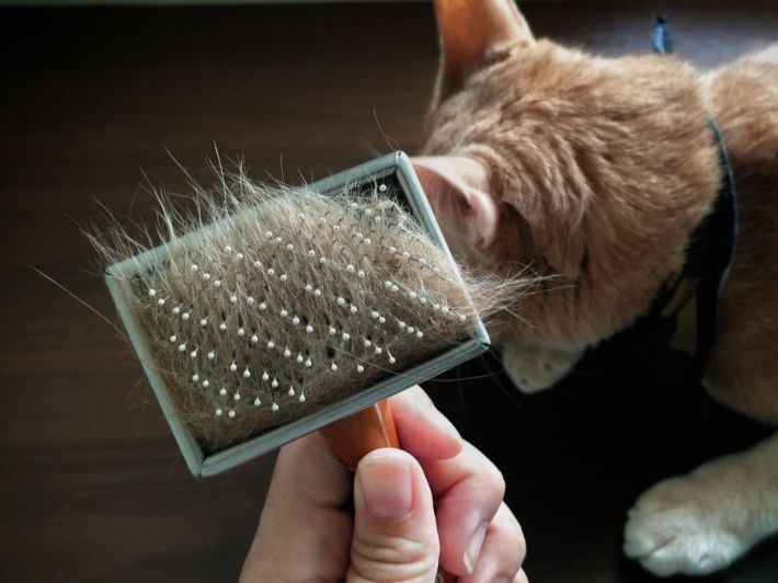 ������ ���� ������ �� ���� ������