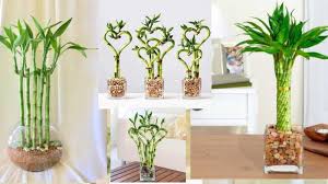 ������ ���� ������ �� ���� ������