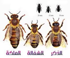 ������ ���� ������ �� ���� ������