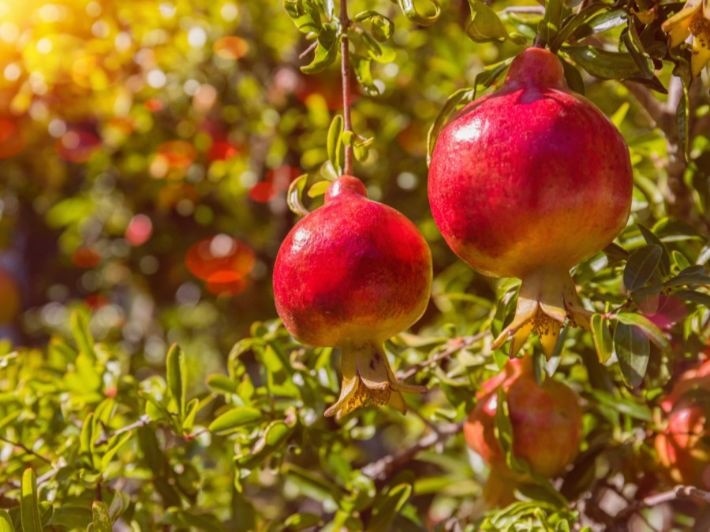 ������ ���� ������ �� ���� ������