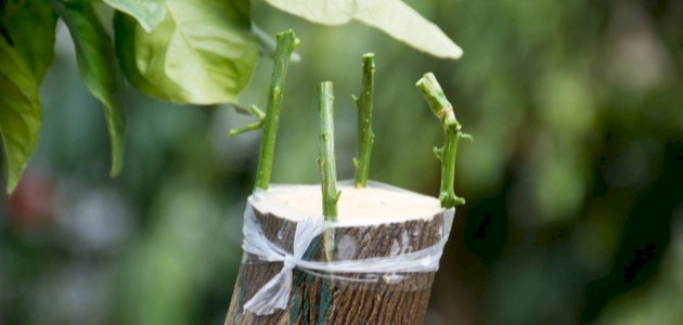 ������ ���� ������ �� ���� ������