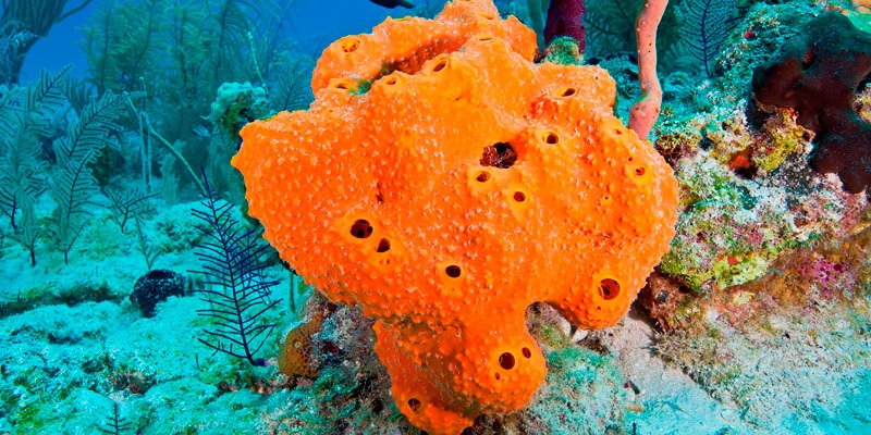 ������ ���� ������ �� ���� ������