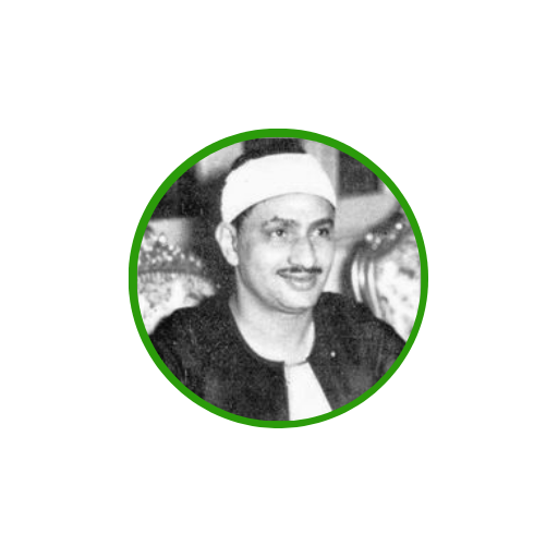 محمد صديق المنشاوي