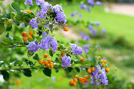 ������ ���� ������ �� ���� ������