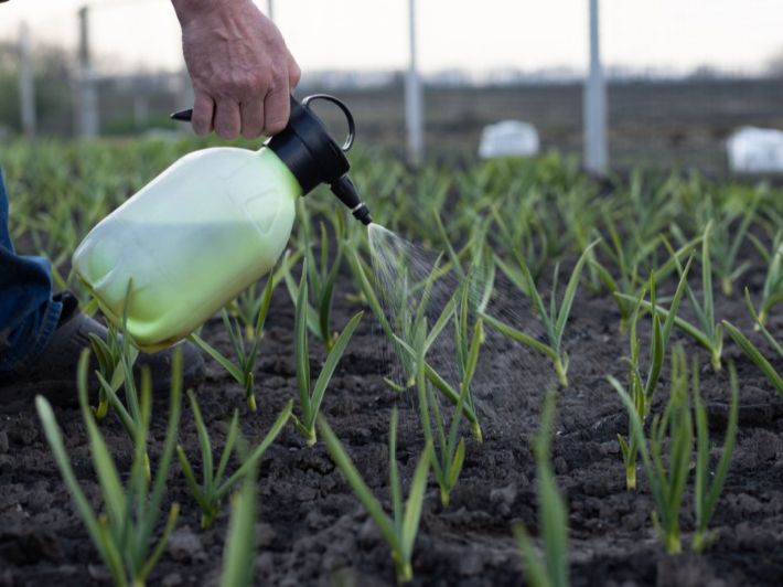 ������ ���� ������ �� ���� ������